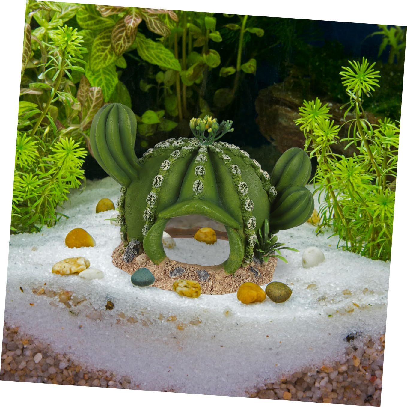 BESPORTBLE 3 Pezzi Cactus da compagnia rampicante nascondiglio dei rettili accessori geco leopardo Accessorio per paesaggio rettili Decorazione per rettili modelli di cactus resina Green