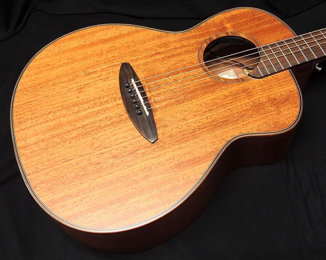 Amazon | aNueNue Bird Guitar aNN-L20E Solid Mahogany Top マホガ二