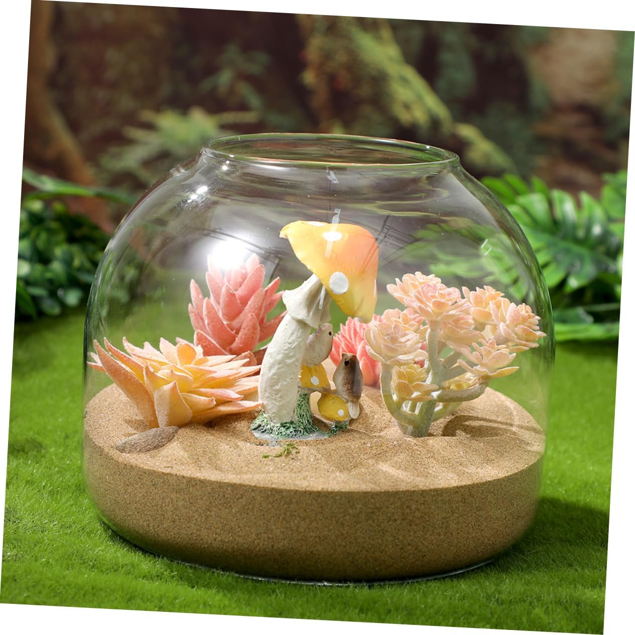 SUPVOX 2pcs Glass Terrarium Bottle for Landscape Elegant Moss Plant Container with Cork Stopper Versatile Decorative Storage for