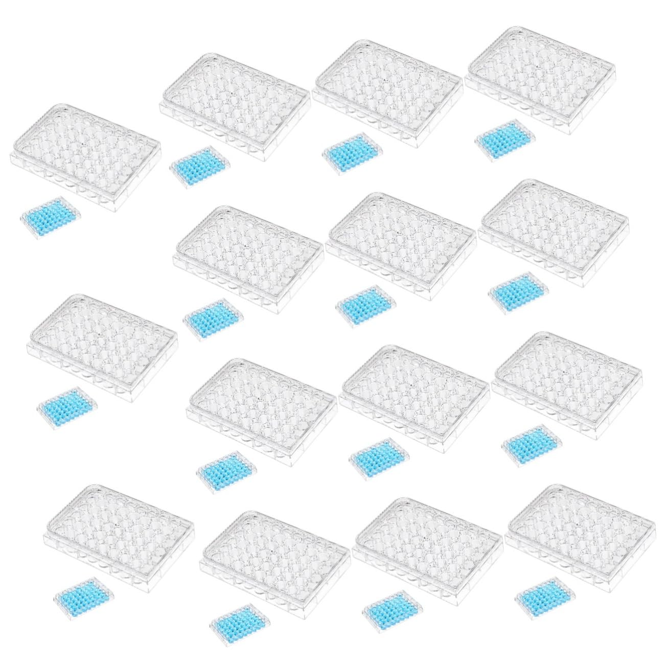 iplusmile 15piezas Placa De Cultivo Celular De Pozos Para Experimentos De Laboratorio y Cultivo De Tejidos Para Investigación Científica y Aplicaciones Biológicas