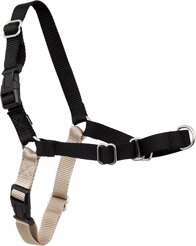 PetSafe Easy Walk Arnés, arnés para perros sin tirones, negro, mediano | El bucle Martingale patentado brinda presión gradual en el hombro para dejar de tirar, el clip de la correa en la parte delantera del pecho evita las náuseas