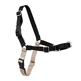 PetSafe Easy Walk Harness, No Pull Dog Harness, Black, Medium | Patented Martingale Loop Gives Gradual Shoulder Pressure to Stop Pulling, Front-Chest Leash Clip Prevents Gagging Medium Black/Silver