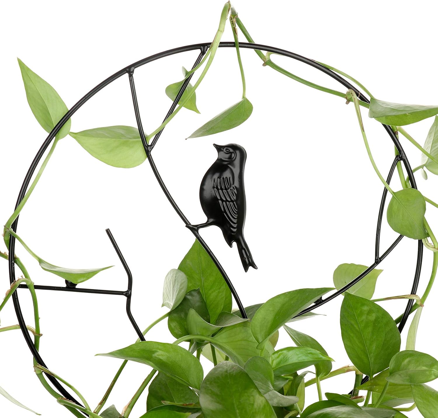 TRRAPLE Metal Garden Trellis,Garden Trellis for Climbing Plants Sturdy Iron Potted Support for Outdoor Climbing Flowers and Vines,Black,B4348IBR14I9G8HQZF0Z8,35CM