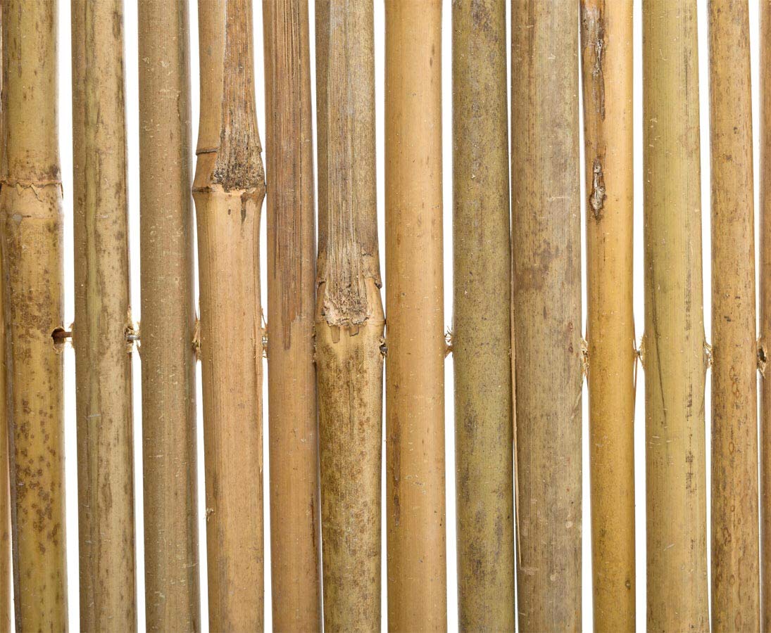 B-Ware mata bambusowa Bali, bardzo stabilna, 100 x 300 cm – ogrodzenie chroniące przed wzrokiem, ścianka ogrodowa, ochrona przed wzrokiem balkonowych, ochrona przed wiatrem, ochrona przed wzrokiem do ogrodu i tarasu, ochrona przed słońcem na balkon, ścian