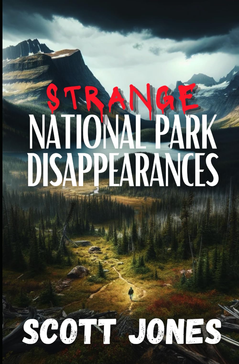 Strange National Park Disappearances: Volume 1