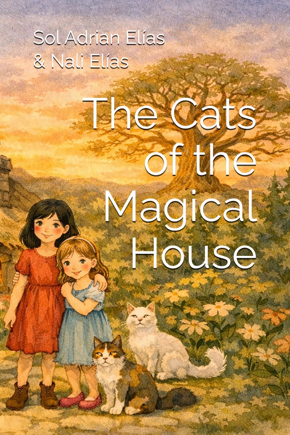 The Cats of the Magical House