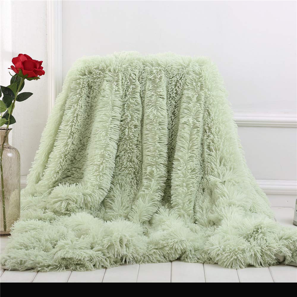 FANSU Soft Fluffy Bed Throws Solid Color Winter Shaggy Sofa Blankets Ultra Plush Warm Bedspread Bedding Solid Color Throws Blankets for Couch Chair (mint green,80 * 120cm)