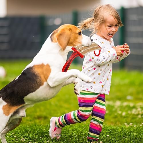 Miniatura 4 de Libima 2 piezas de juguete de remolcador para perros con asas fuertes, herramientas de entrenamiento de perro de tira y afloja, juguete de mordida