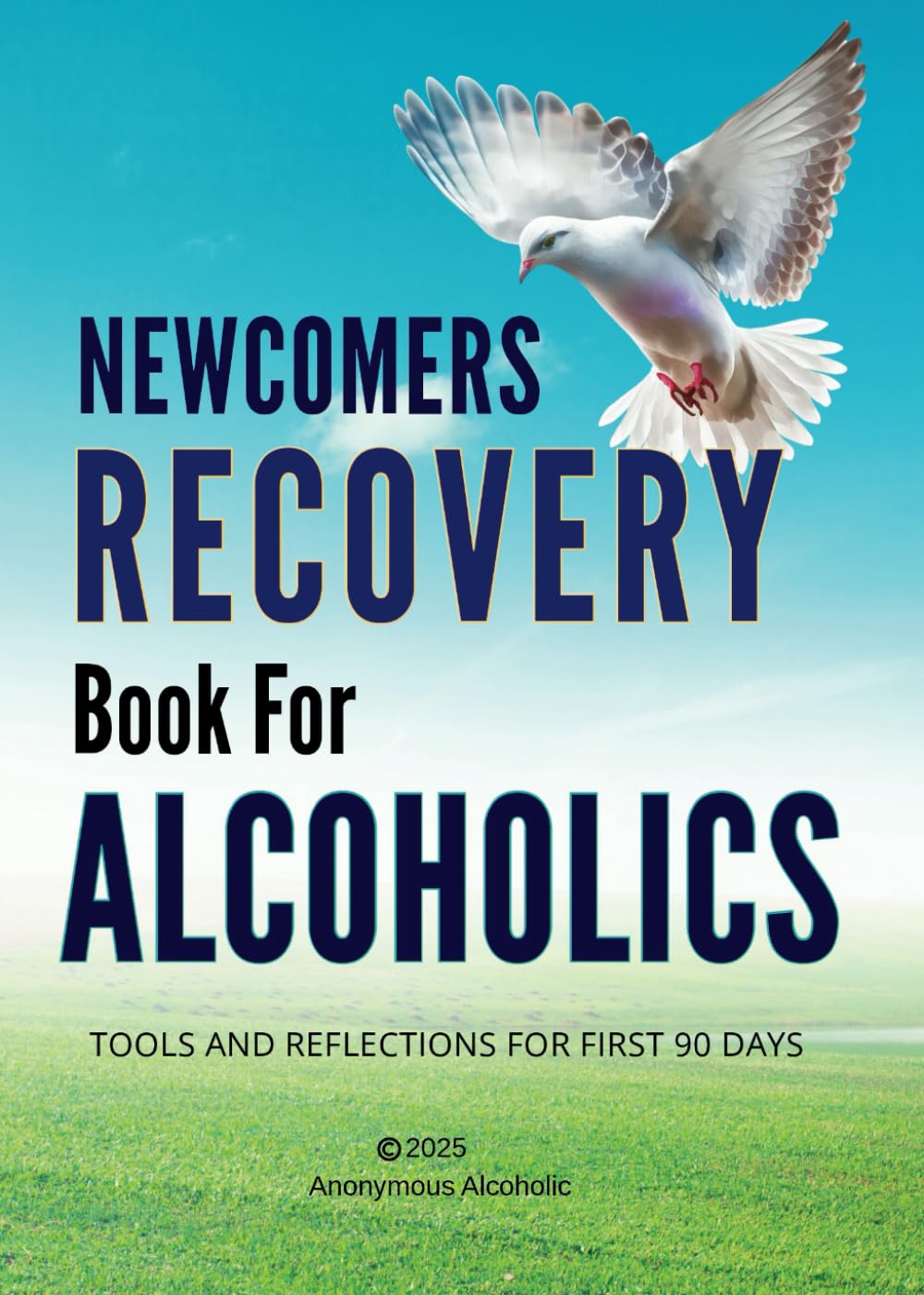 Newcomers Recovery Book For Alcoholics
