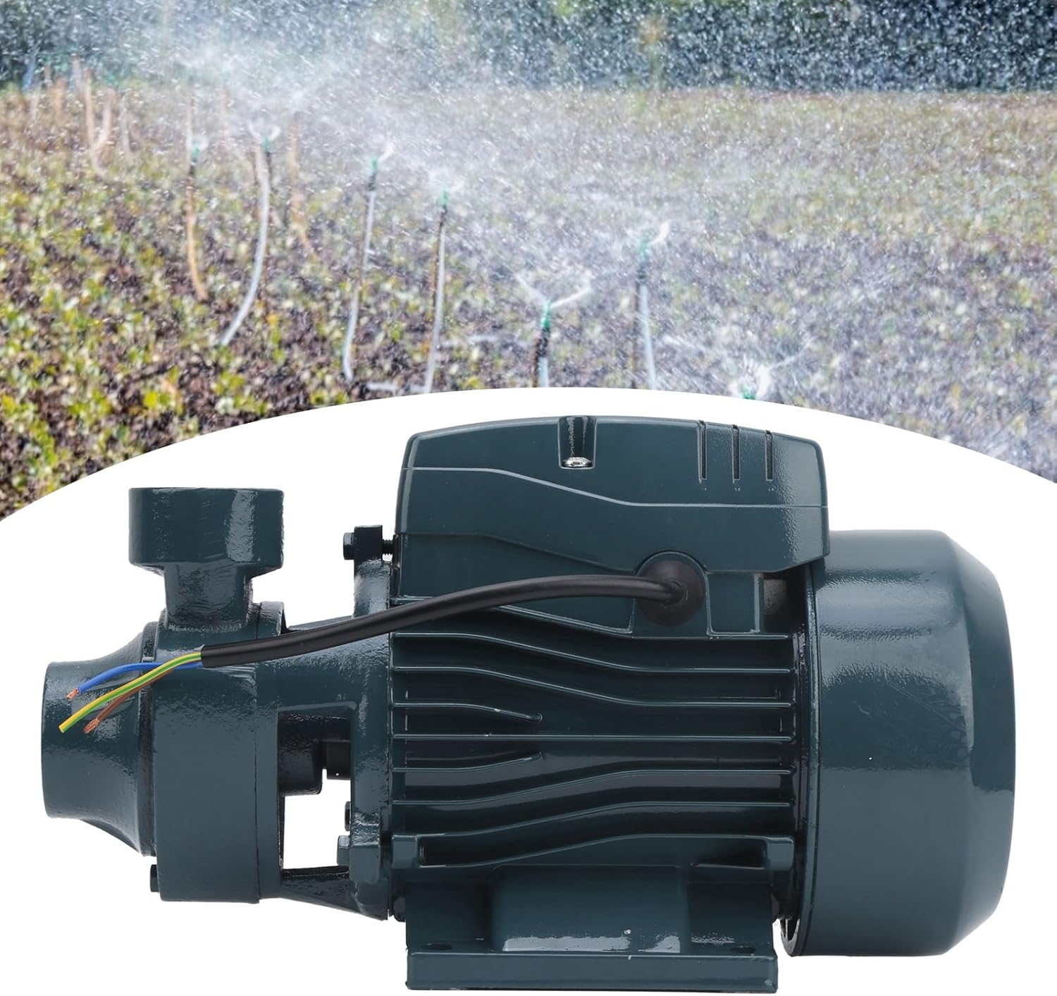 QB60 pump in an outdoor watering application