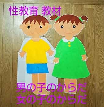 性教育 教材 ３点セット 【助産師さん 保健師さん 先生向け】保健体育 保健指導 性教育 教材 3点セット 【助産師さん 保健師さん 先生向け