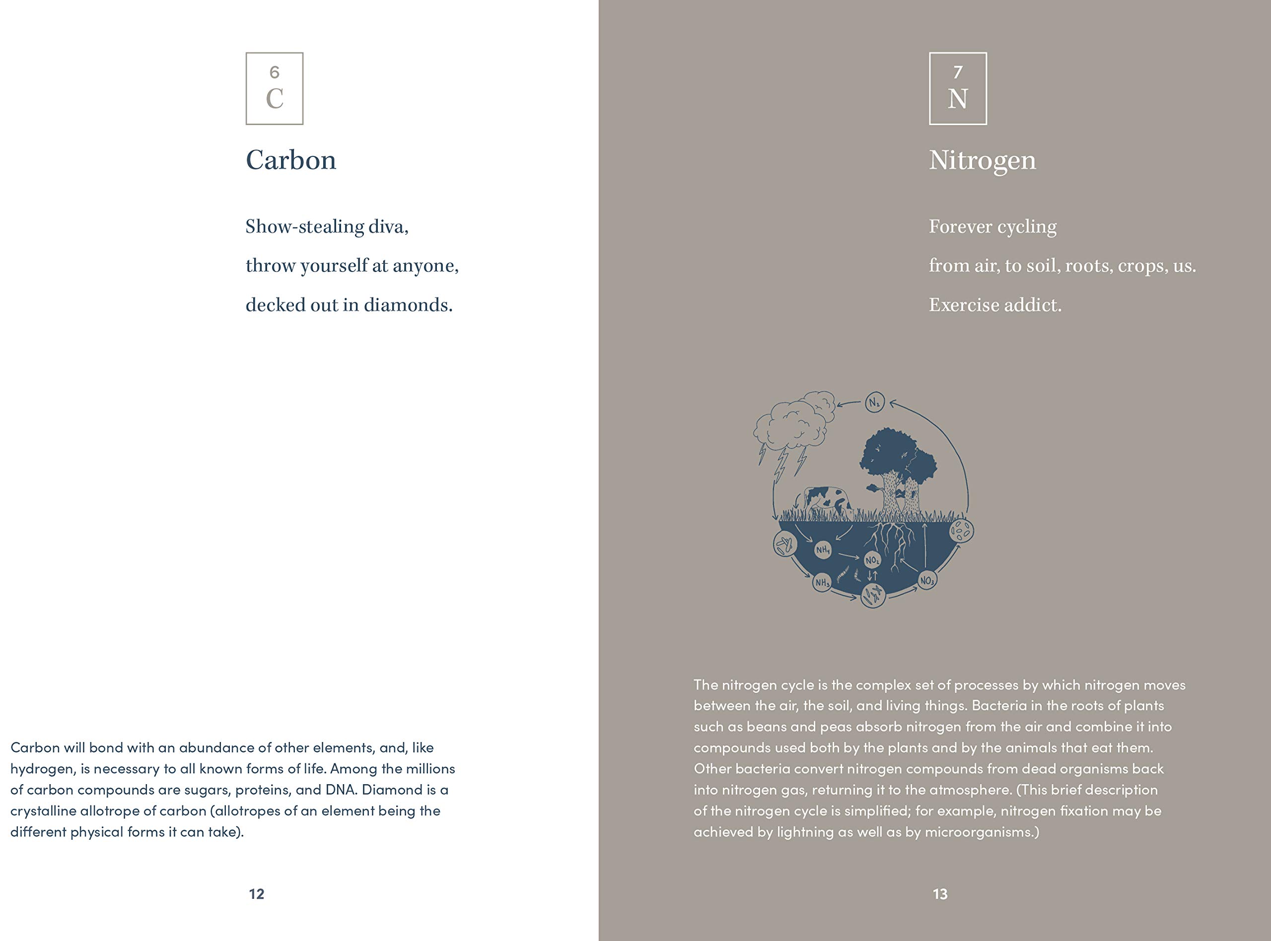 Elemental Haiku: Poems to honor the periodic table, three lines at a time - Image 3