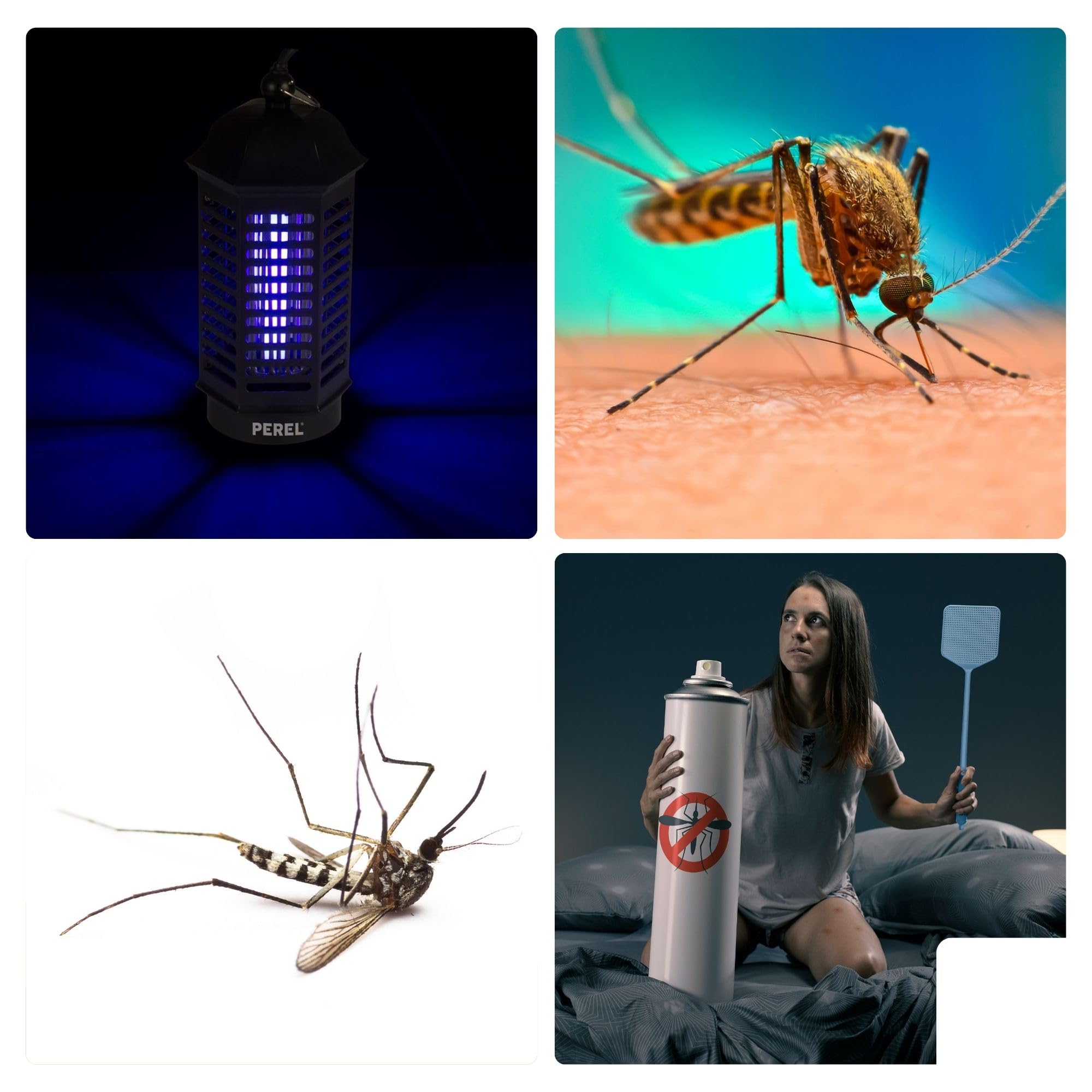 Perel Mata Insectos LED UV eléctrico, Rejilla 1000V, Funcionamiento silencioso, Bandeja extraíble, Cobertura Interior 25 m², diseño Seguro para el hogar