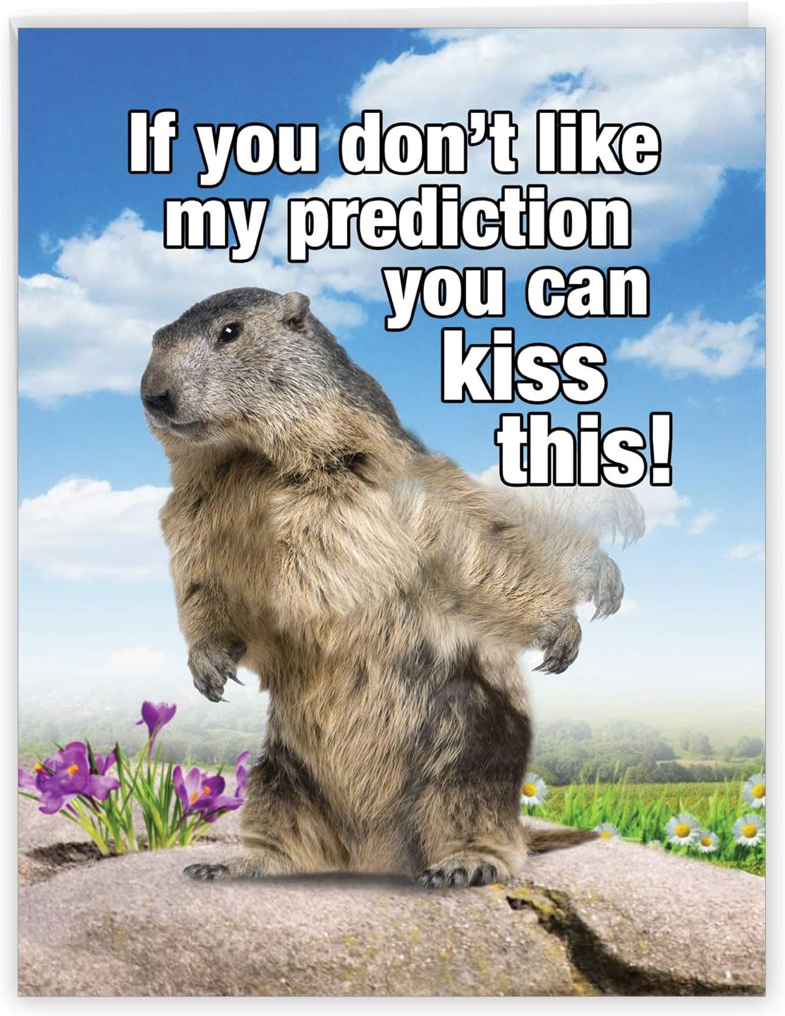 Carte De Vœux Hilarante Avec Enveloppe Grande Prediction De Marguerites Jolies Cartes Surprise Pour Anniversaire Pour Animaux Amis Famille 21 6 X 27 9 Cm J5697bdg Amazon Ca Fournitures Pour Le Bureau