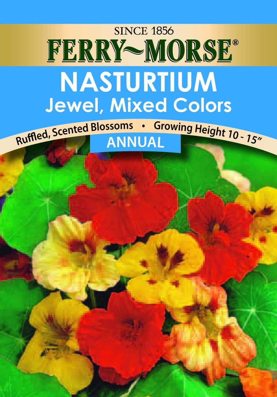 Ferry- Morse ZF6106 Nasturtium Dwarf Jewel Mixed Colors Flower Seed