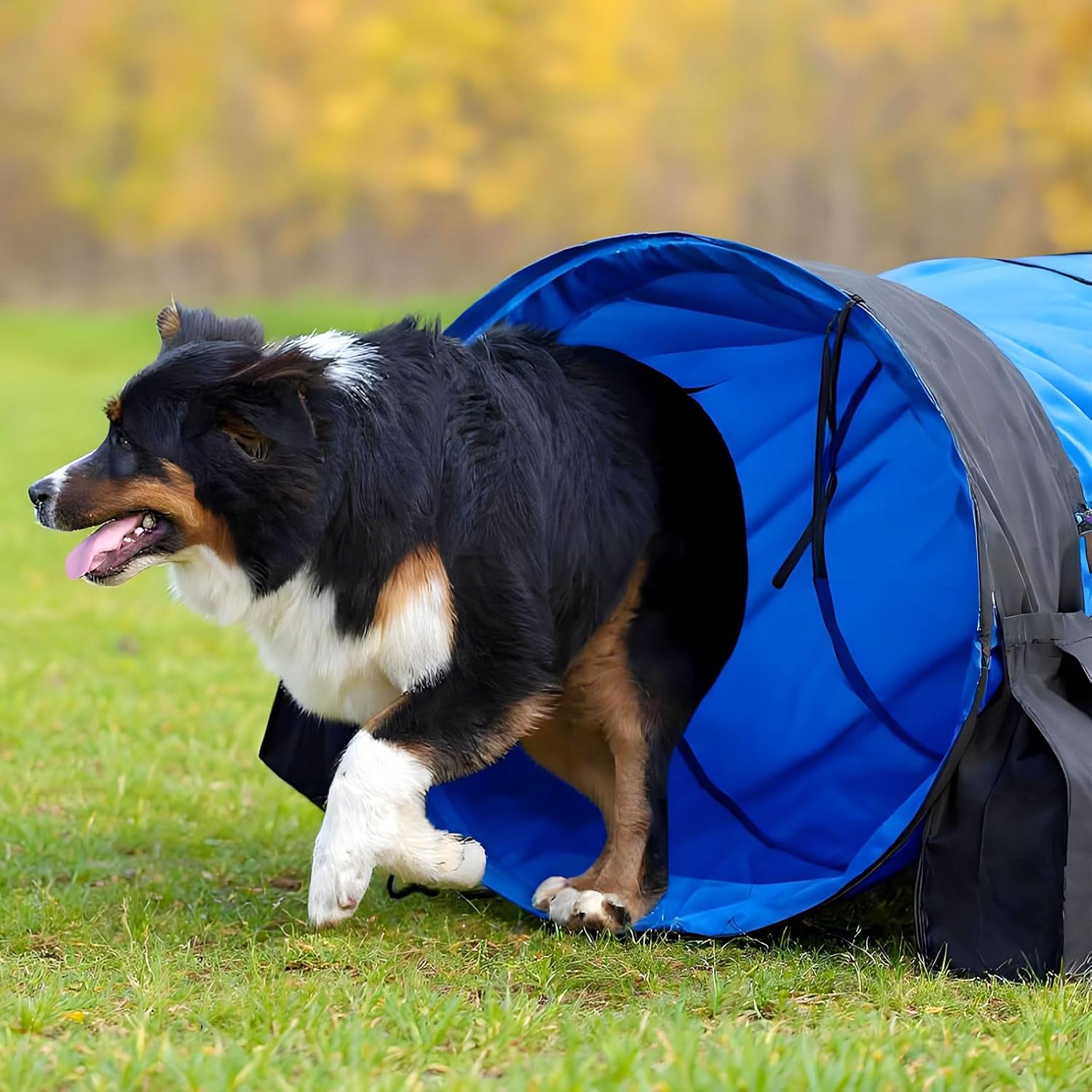 28 in 18 Foot Blue Extra Large Dog Agility Tunnel with Sandbags Dogs Agility Training Equipment Tunnel with 4 Pack Sandbags Carry Bag and 4 Ground Spikes for All Medium and Large Dogs