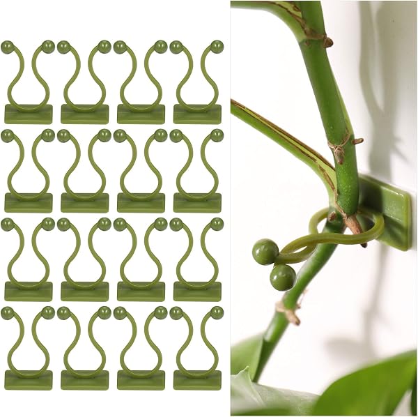 Zocipro 100 selbstklebende Pflanzenclips – Bild 1