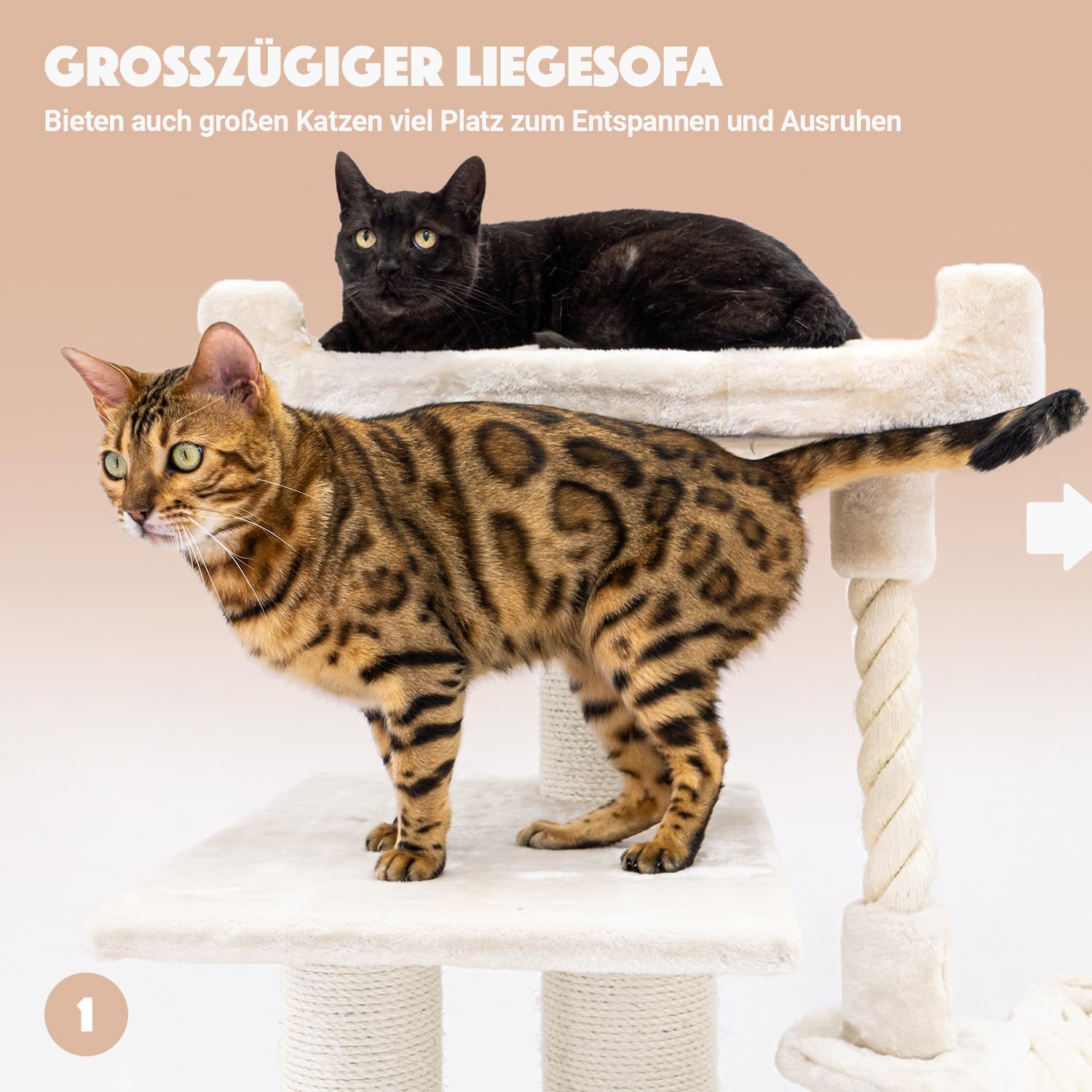 Petrebels Arbre à Chat Parklane 131 cm, Couleur Beige/Crème, Design Arbre à Chat avec Hamac