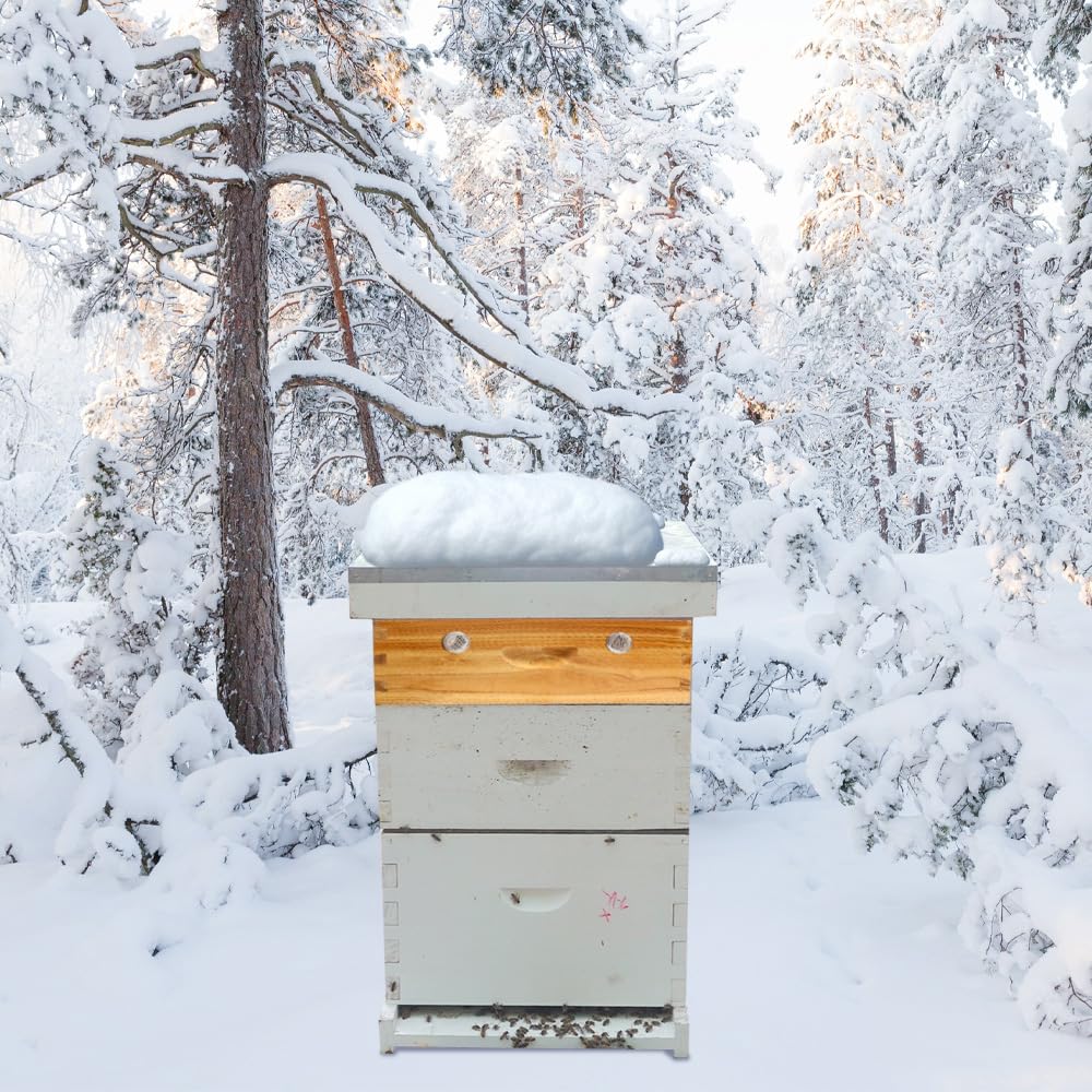 Amazon.com : Assembled Beehive Quilt Box, 10 Frame