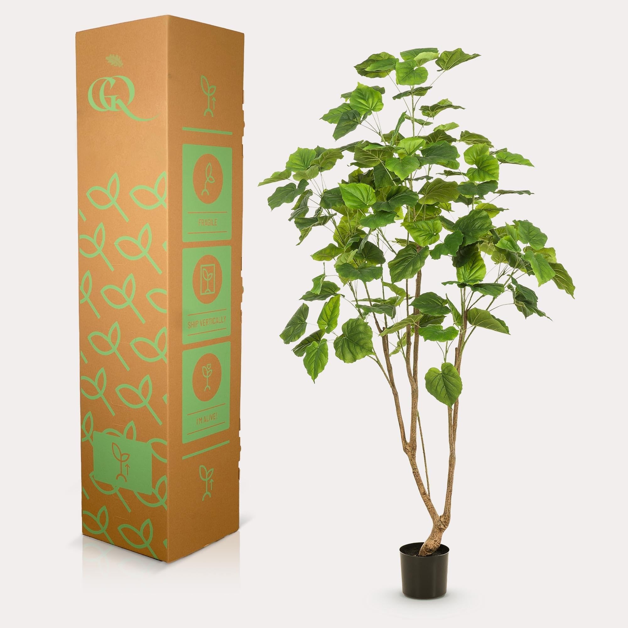 Kunstpflanze Ficus Umbellata Afrikanische Feige ca. 180 cm hoch ca. 180 cm