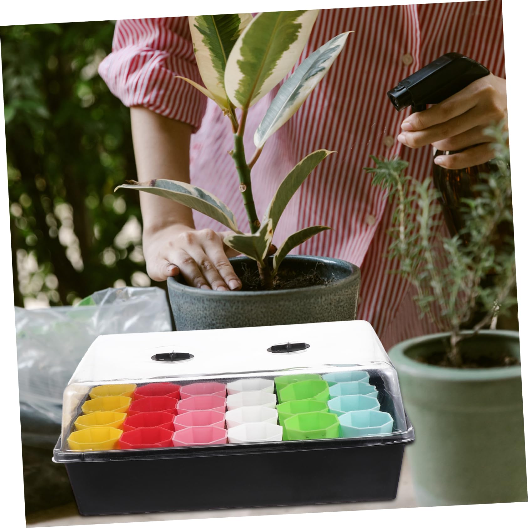 TOYANDONA Plateau de Propagation pour Plantes avec Pot Inclus pour Culture de Semis et Micro-pousses