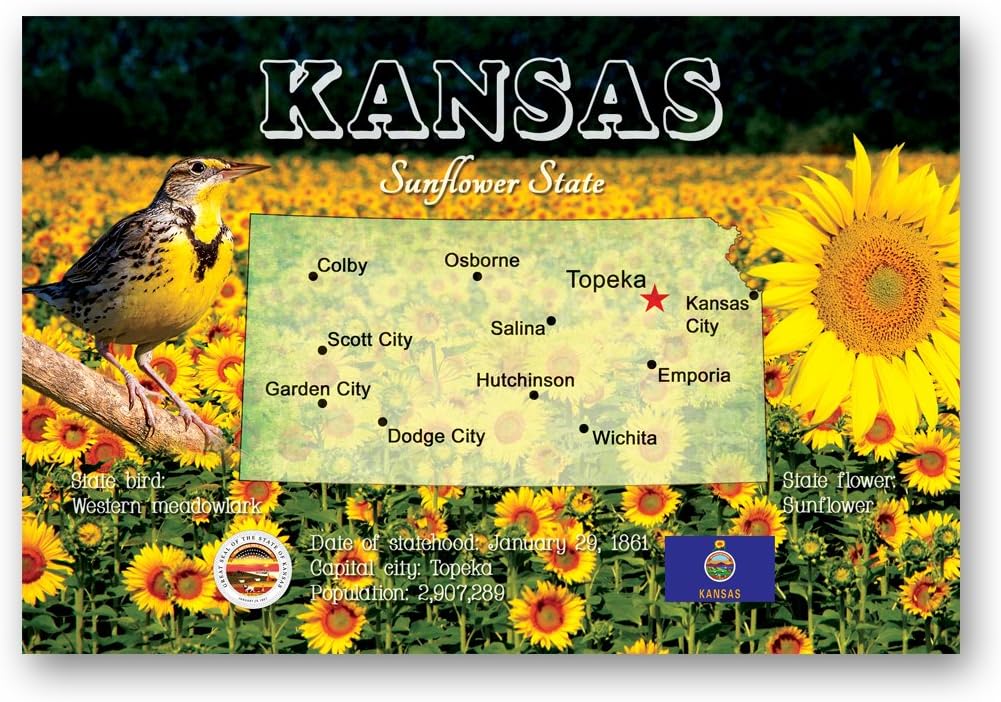 U.S. State Map Postcard Set of 50. Modern post cards variety pack. Postcards with maps of all fifty states of the United States of America. Made in USA.