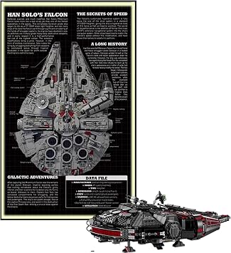 Display Wallboard for Lego 75257/75389 Millennium Falcon - Wall Mount Display Stand Art Wall Mount Frame for Millennium Falcon Building Set - 50 x 80 CM Light Strip USB Typ A