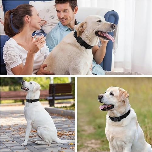 Miniatura 2 de Collar táctico resistente para perro, collar ajustable de nailon para mascotas, hebilla de liberación rápida con 2 anillos en D para perros medianos