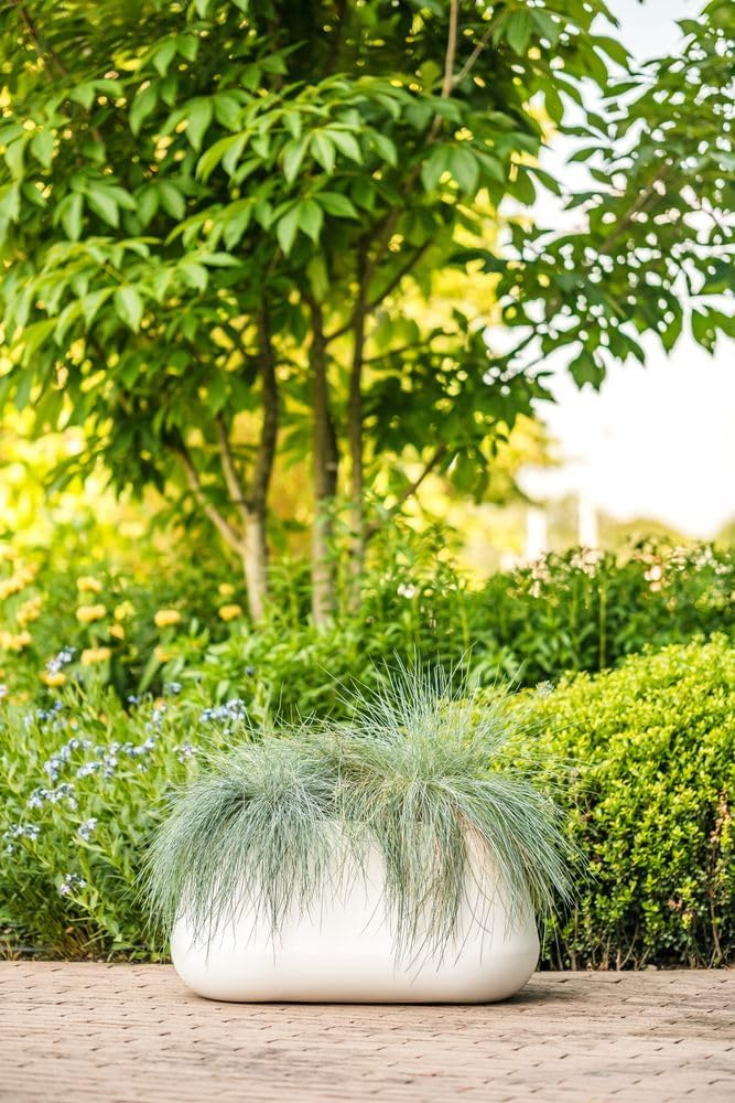 Elho Pure Cone Long Wheels 75 White