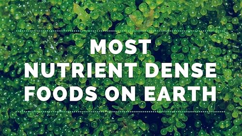 Miniatura 4 de Espirulina cultivada en Estados Unidos Espirulina Vegana Proteína Limpia Pura Orgánica Espirulina Nutrientes Densa Sin Gluten Superalimento Vaso