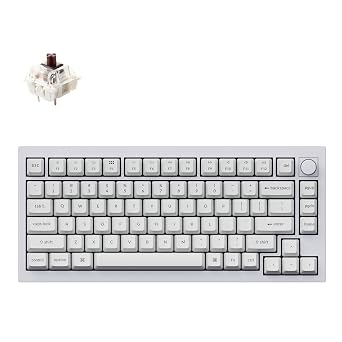 Keychron Q1 RGB Wired Custom Mechanical Keyboard 75% Layout QMK/VIA Programmable Macro Hot Swappable Gateron G Pro Blue Switch Double Gasket for Mac Windows Linux White - Version 2 Compatible
