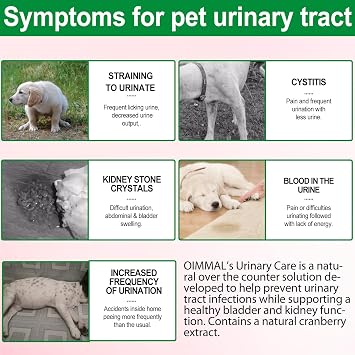 Urinary Tract Infection Treatment for Dogs, Dog Urinary Tract Support Drops, Natural UTI Treatment Supplement, Support Healthy Bladder & Kidney with Cranberries