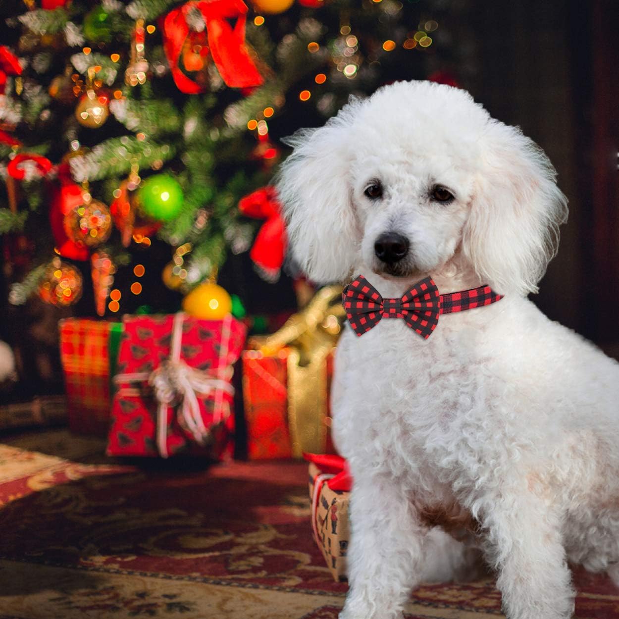 PoyPet Plaid Dog Collar Bow Tie Set - Cute Adjustable Soft for Small Puppy (Houndstooth,S)
