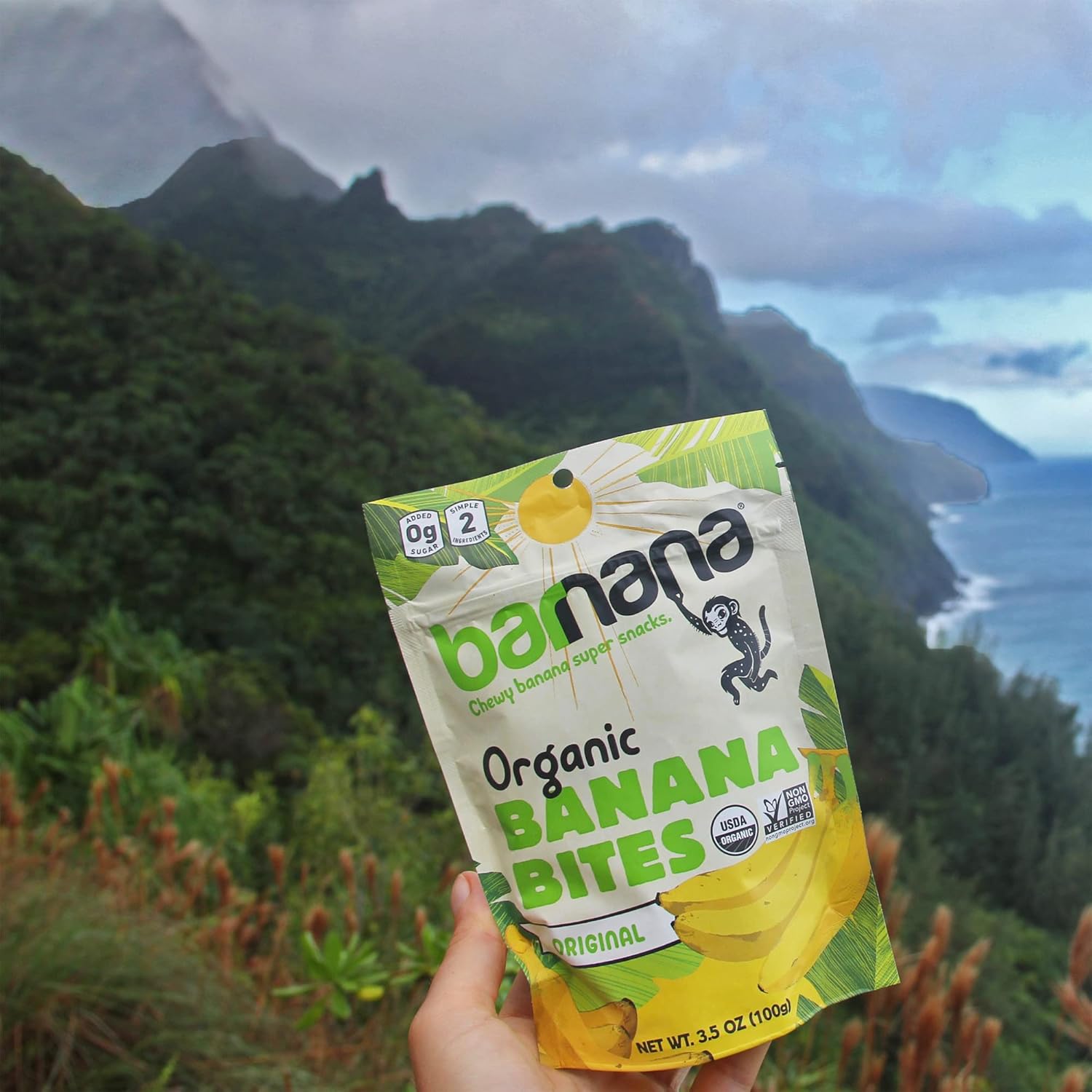 Barnana - Organic Chewy Banana Bites, Original, Chewy Banana Snack, Made With Real Fruit, High In Potassium, Kosher, USDA Organic, Paleo, Gluten-Free, Vegan (3.5 oz, 6-Pack)