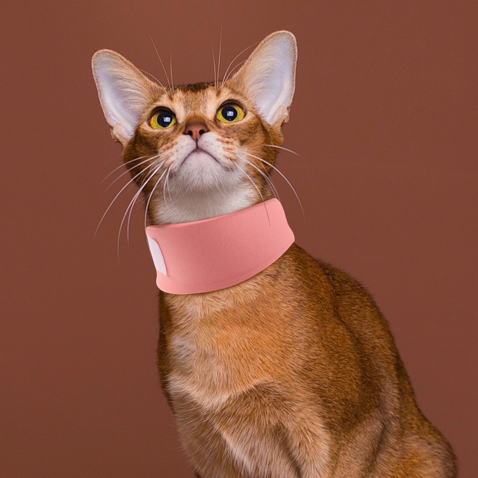SUPVOX 4pezzi Collare Elisabettiano Anti-leccamento Morbido per Cani e Gatti Regolabile Protezione Post-operatoria per Animali Domestici per Recupero e Guarigione