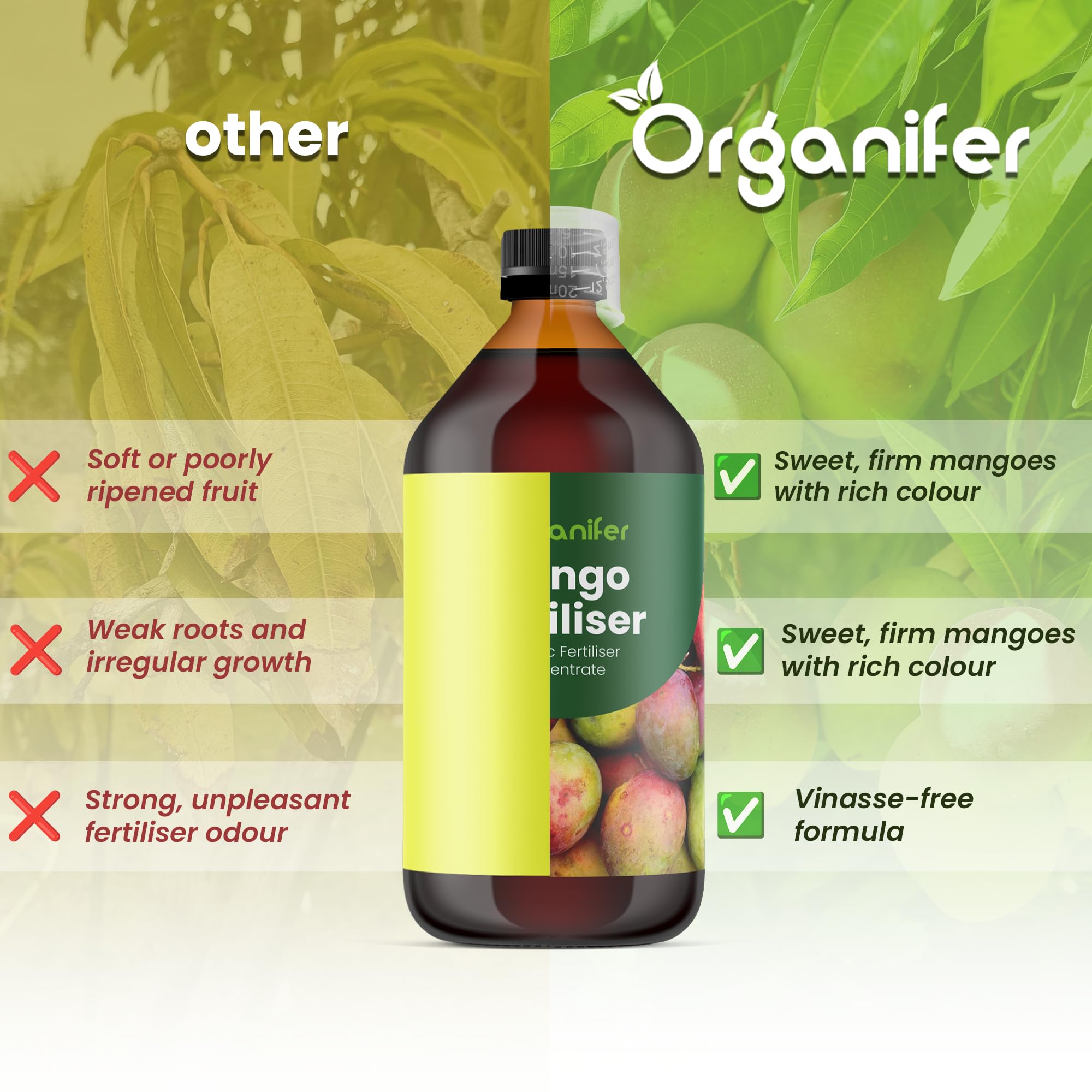 Fertilizzante liquido organico 1L per mango – crescita ottimale e frutti rigogliosi – Organifer