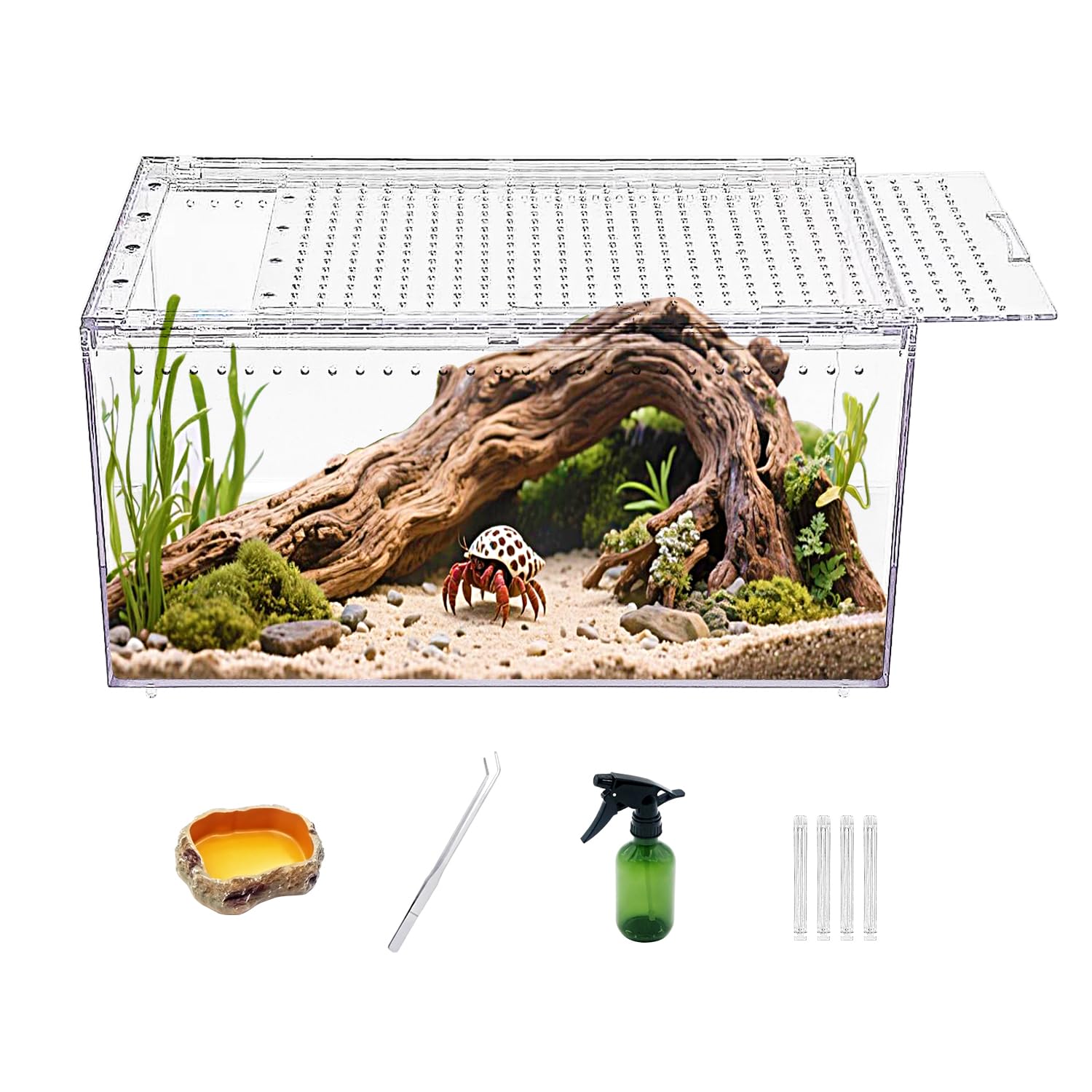 Reptile Growth Reptile PC Terrarium,Tarantula Enclosure,Spider Tank with Magnetic Button.16"x10"x 8" Lizard Enclosure,Reptile Breeding Tank for Insect,Fish,Tarantula,Hermit Crab,Small Bearded Dragon