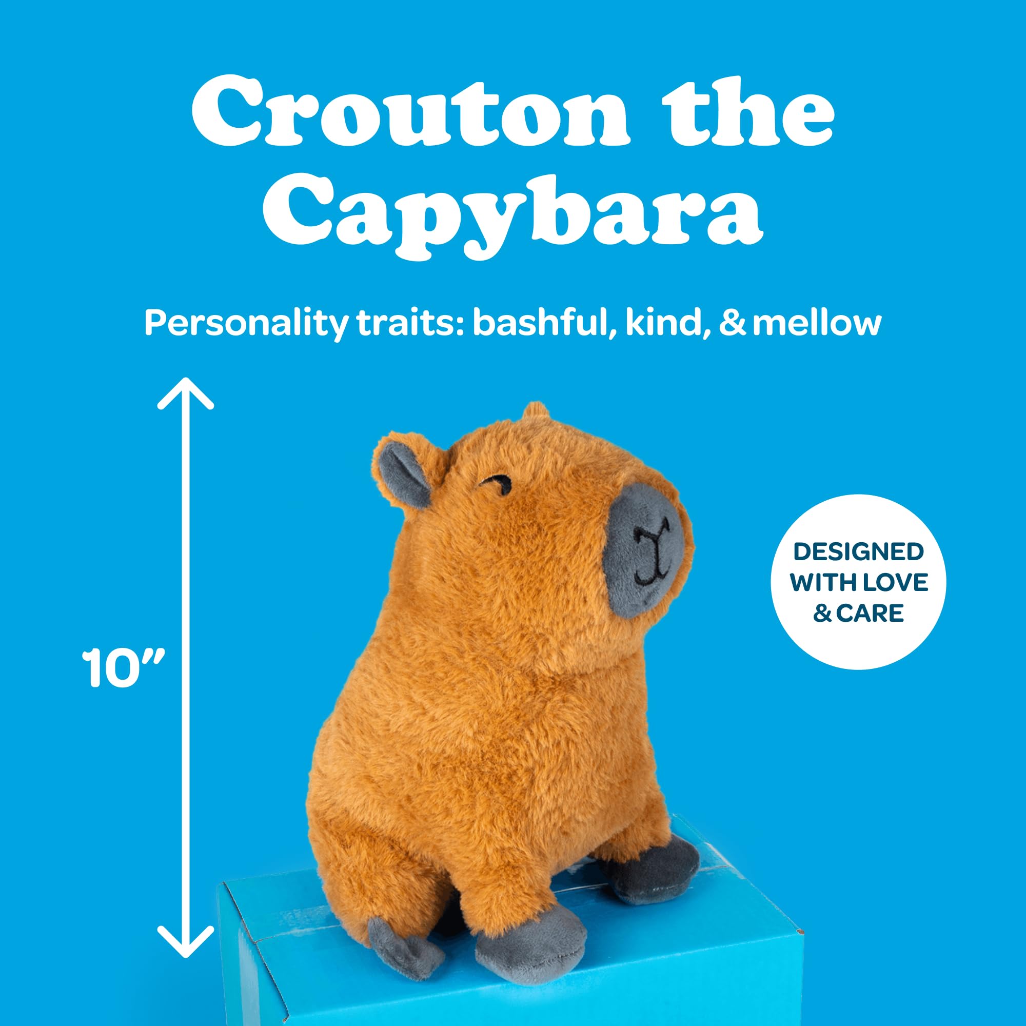SendAFriend Crouton the Capybara Pflegepaket | Geburtstags-Notizkarte, Plüschtier, 25,4 cm, Unterschrift "Someone Loves You", blaue Box, fertig zum Verschenken