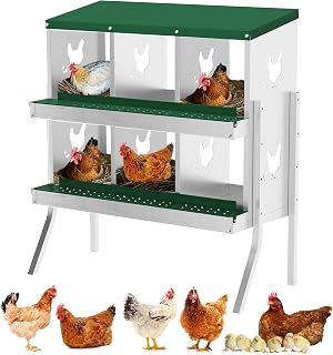 GarveeLife 6-Hole Galvanized Steel Chicken Nesting Box with Perch, Roll-Out Egg Collection, Secure Lid - Wall Mount or Freestanding for Hens, Green