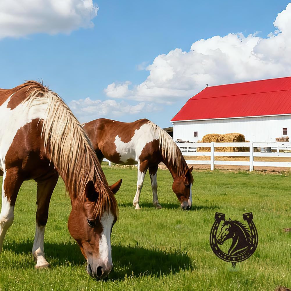 WADORN Western Horseshoe Metal Decorative Garden Stakes, Rustic Horse Shoes Silhouette Metal Outdoor Statues Animal Garden Ornament Gifts Black Yard Art Decorations for Cowboy Party Lawn Backyard