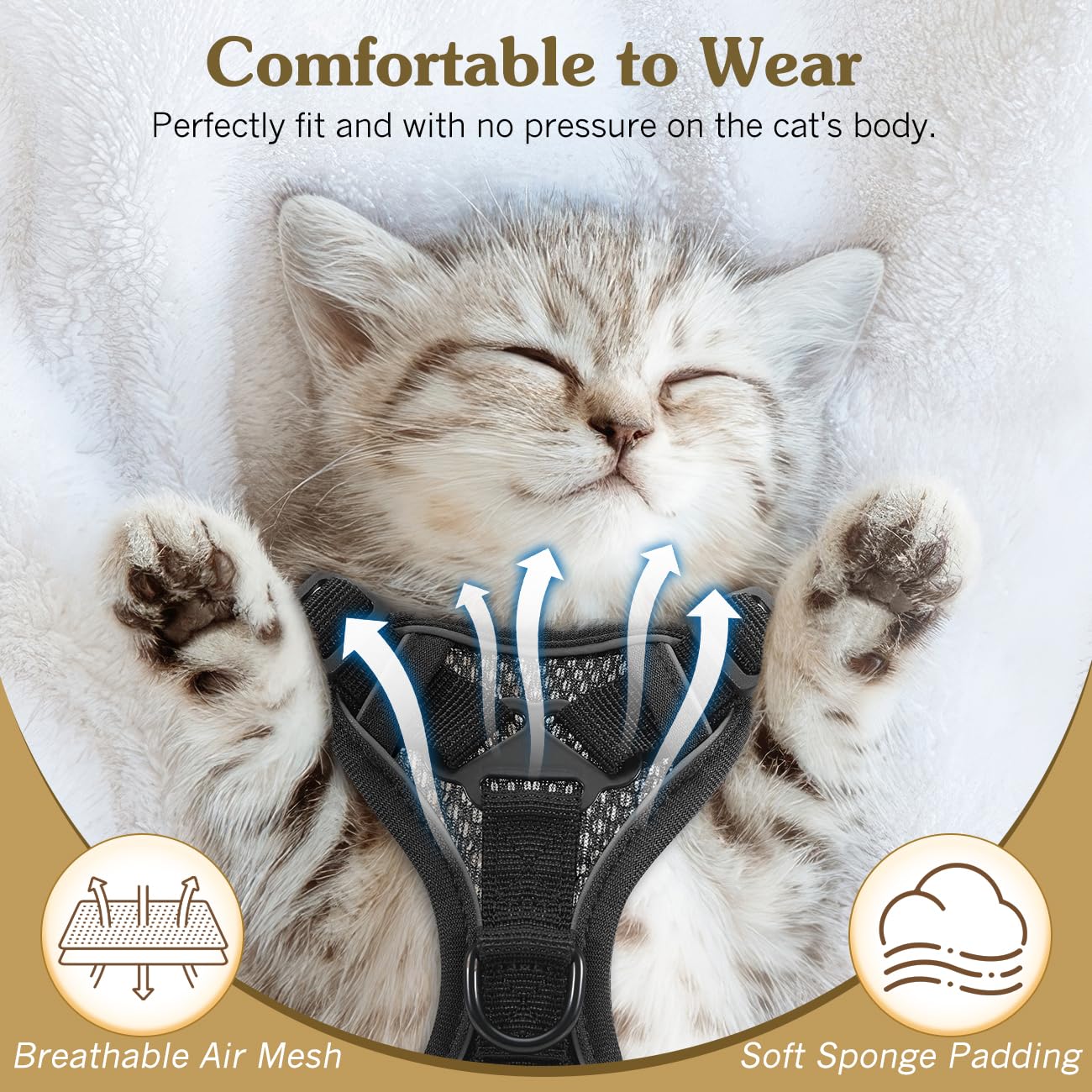 VavoPaw Set di Pettorina e Guinzaglio per Gatti, Pettorina Regolabile per Gattini con Striscia Riflettente in Rete Traspirante, Gilet di Sicurezza a Prova di Fuga per Gatti Cuccioli, XS Nero