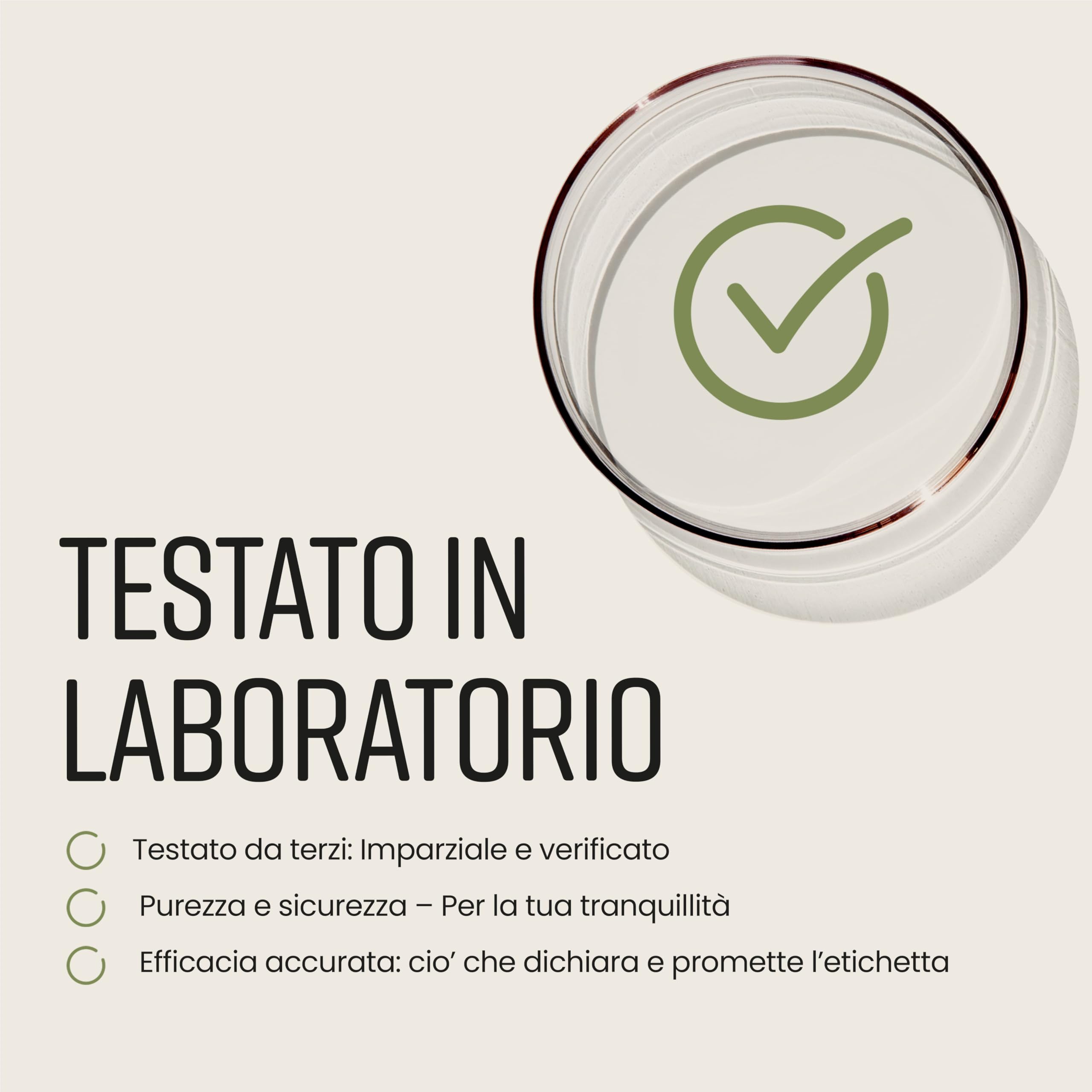 Capsule di Moringa Pura | Alto Dosaggio 10.000 mg | 4 Mesi – 1 al Giorno | Senza Additivi | Capsule di Superalimento Vegano in Polvere | Estratto Puro di Foglia di Moringa | VitaBright