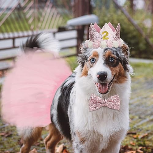Miniatura 6 de CIEHER Suministros para fiesta de cumpleaños para perros, sombrero de cumpleaños para perro + corbatín + falda tutú rosa, decoraciones de fiesta de