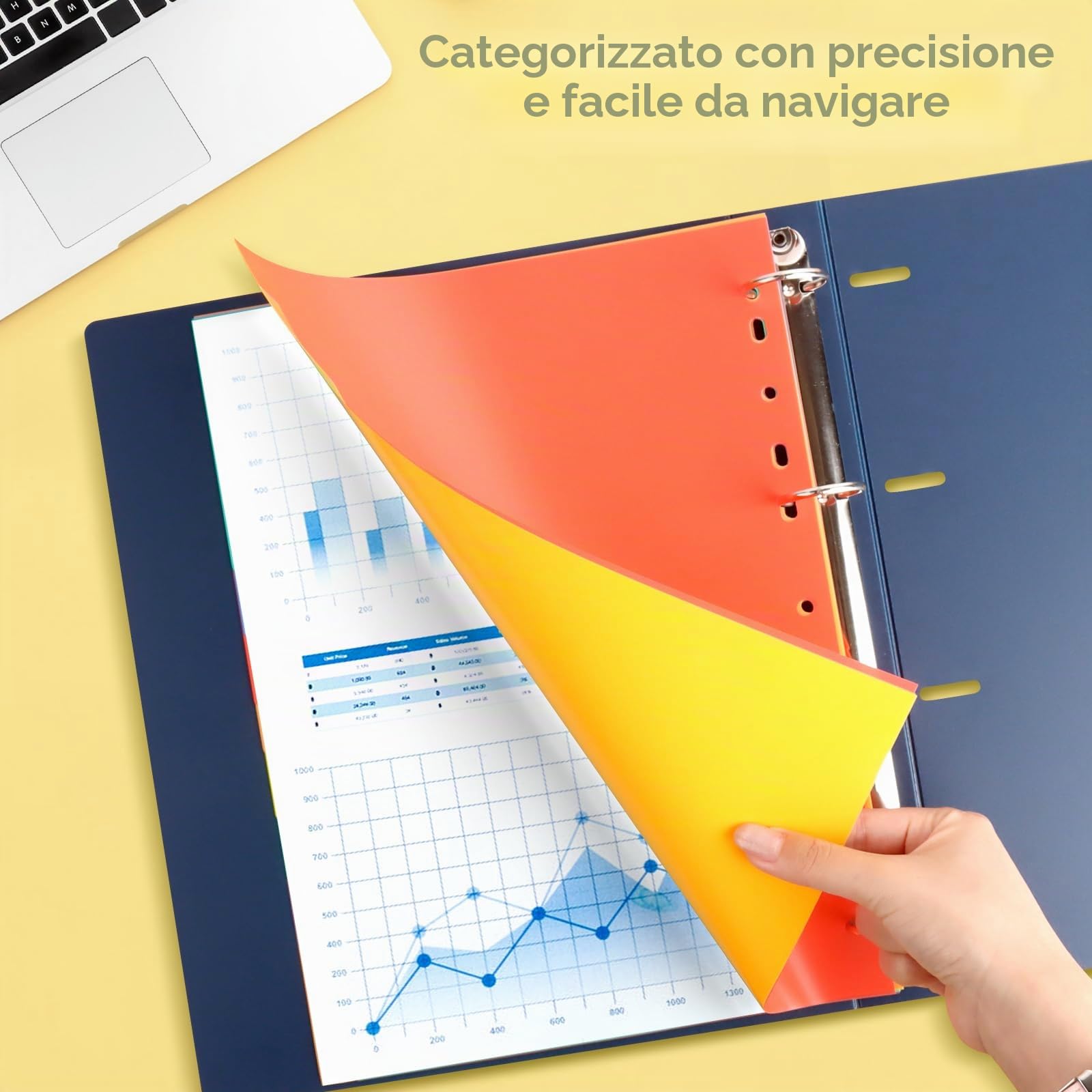 Divisori per raccoglitori A4, 12 pezzi, 11 fori