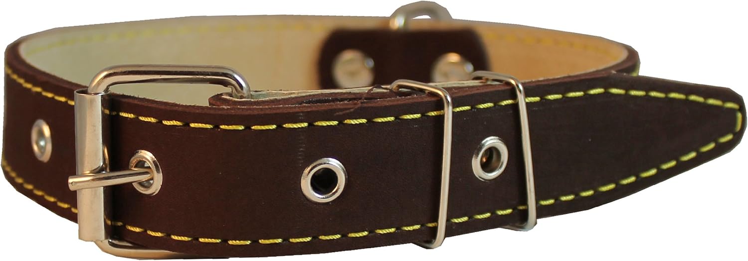 thick leather dog collars