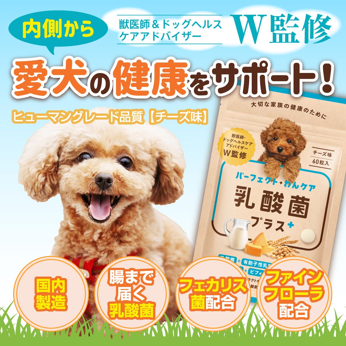 Amazon | 【獣医師W監修】パーフェクトわんケア 乳酸菌プラス 犬 猫