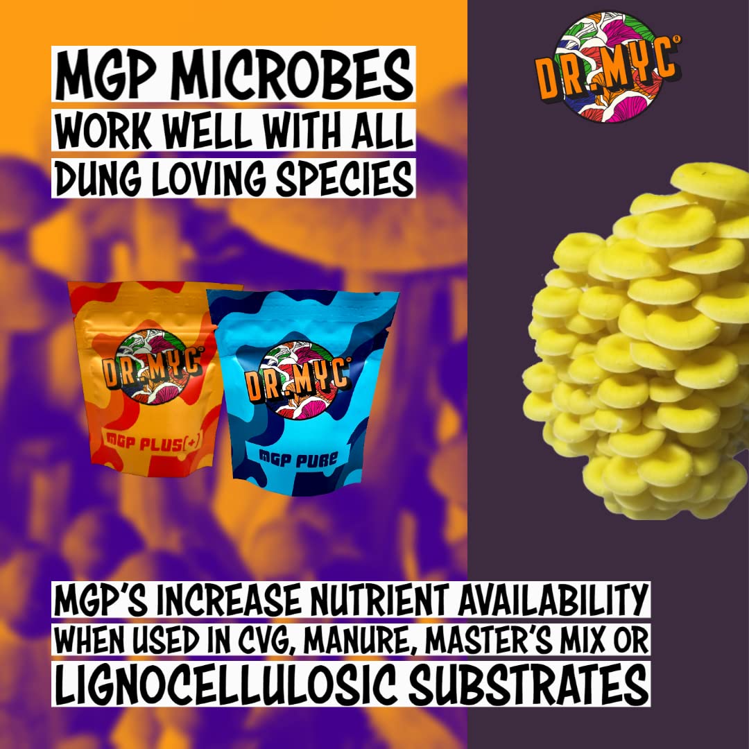 DRMyc.com - MGP Pure - Growth Promoter for Mushrooms. Our Substrate Probiotic Increases Colonization Speed, Fruiting Size + Faster Flushes - (25 Grams)