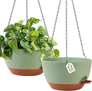 10 Pergola Ideas With Plants for Natural Shade and Beauty 61 GARDIFE Hanging Planters for Indoor Outdoor Plants, 2 Pack Self Watering...