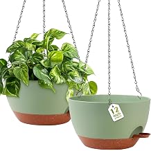 GARDIFE Hanging Planters for Indoor Outdoor Plants, 2 Pack Self Watering Hanging Pot with Drainage Holes & Removable Tray Green, 12 inch