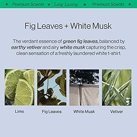 OffCourt - Natural Deodorant Body Spray for Men and Women - Aluminum Free - Whole Body Deodorant for Women and Men - Medium-Bodied Fig Leaves and White Musk Scent, 3.4 Ounce (Pack of 1)